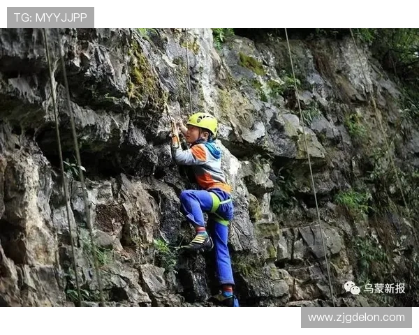 上海攀岩队整体表现分析：压制与失误的双重影响探讨